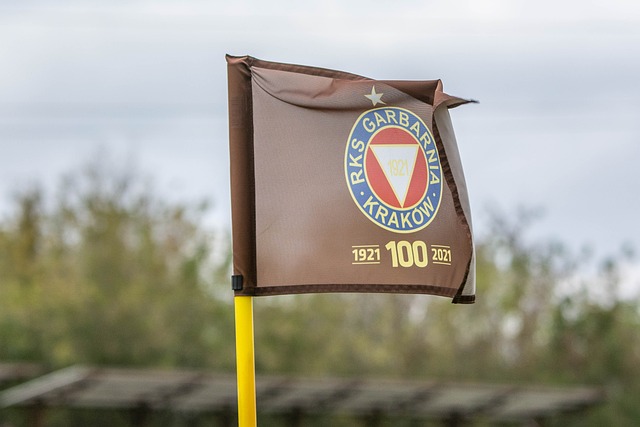 力量和坚韧 力量和坚韧