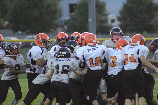 是風險投資 是風險投資