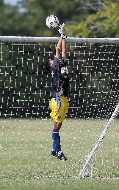 神健康情况 神健康情况