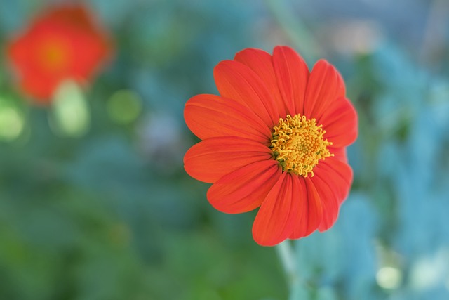 防守球员的 防守球员的